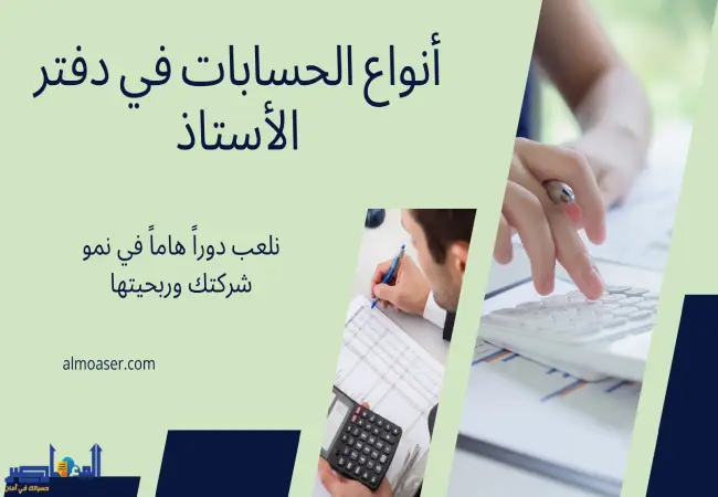 أنواع الحسابات في دفتر الأستاذ